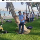 ���������� ������, ���� ������� ����, 36 ���, ������������ ��� ������, ����� � ���������, c�������� ���������