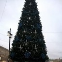 ���������� ���, ���� ������� ������, 44 ����, ������������ ��� ����� � ���������, c�������� ���������