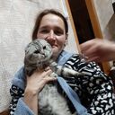 ���������� ������, ���� ������� �����, 53 ����, ������������ ��� ������, ����� � ���������