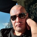 ���������� ����, ���� ������� ��������, 46 ���, ������������ ��� ������, ����� � ���������, c�������� ���������, ���������