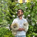 ���������� ������, ���� ������� ����, 29 ���, ������������ ��� ������, ����� � ���������