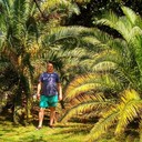 ���������� ����, ���� ������� ������, 43 ����, ������������ ��� ������, ����� � ���������, c�������� ���������