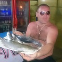 ���������� ���������, ���� ������� �������, 43 ����, ������������ ��� ������, ����� � ���������, c�������� ���������