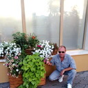 ���������� ���, ���� ������� �������, 51 ���, ������������ ��� c�������� ���������