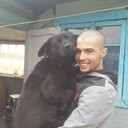  ,   Evgeny, 33 ,   ,   , c , 