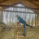  ,   , 47 ,     , c 