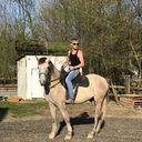 ���������� ����, ���� ������� �������, 34 ����, ������������ ��� ������, ����� � ���������, c�������� ���������, ���������