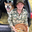 ���������� �����, ���� ������� ������, 41 ���, ������������ ��� ����� � ���������, c�������� ���������