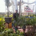 ���������� �������, ���� ������� ������, 39 ���, ������������ ��� ������, ����� � ���������, c�������� ���������