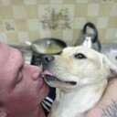 ���������� �����������, ���� ������� �������, 34 ����, ������������ ��� ����� � ���������, c�������� ���������