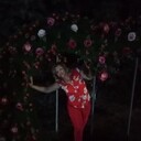  ,   , 53 ,   c 