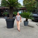  ,   , 65 ,   c 