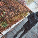 ���������� �������, ���� ������� ����, 32 ����, ������������ ��� ������, ����� � ���������, c�������� ���������