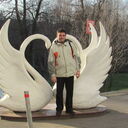  ,   Grinfilt, 47 ,   ,   