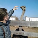 ���������� ������� ��������, ���� ������� �������, 39 ���, ������������ ��� ������, ����� � ���������, c�������� ���������, ���������