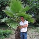 ���������� ����, ���� ������� �������, 43 ����, ������������ ��� ������, ����� � ���������, c�������� ���������