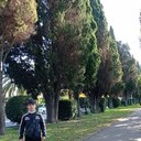  ,   , 24 ,   ,   