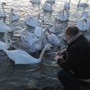  ,   Pavel, 58 ,   ,   , c 
