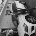 ���������� ��������, ���� ������� �����, 102 ����, ������������ ��� ������, ����� � ���������