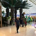  ,   Firuz, 50 ,  