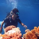 ���������� ������, ���� ������� Gor, 29 ���, ������������ 