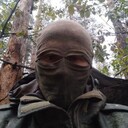 ���������� ��������, ���� ������� Lis, 42 ����, ������������ ��� c�������� ���������, ���������