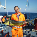 ���������� ���������, ���� ������� ������, 36 ���, ������������ ��� ������, ����� � ���������, c�������� ���������