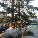  ,   , 41 ,   ,   , c 