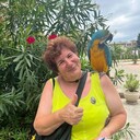  ,   , 62 ,   ,   , c 