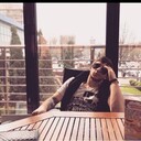 ���������� ������, ���� ������� Da_zdastvuy, 31 ���, ������������ ��� ������, ����� � ���������