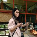 ���������� �����, ���� ������� �������, 35 ���, ������������ ��� ���������