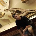 ���������� ������, ���� ������� �������, 37 ���, ������������ ��� ������, ����� � ���������, ���������