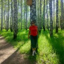  ,   , 69 ,   ,   , c 