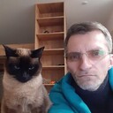 ���������� ����, ���� ������� ����, 47 ���, ������������ ��� ����� � ���������, c�������� ���������