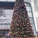 ���������� ����, ���� ������� ������, 42 ����, ������������ ��� ������, ����� � ���������, c�������� ���������