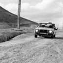 ���������� ����, ���� ������� ����, 43 ����, ������������ ��� ����� � ���������, c�������� ���������