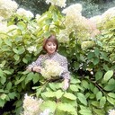  ,   , 60 ,   ,   