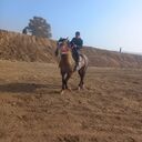 ���������� ������, ���� ������� �������, 33 ����, ������������ ��� ������, ����� � ���������, c�������� ���������, ���������