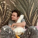 ���������� ������, ���� ������� ����, 33 ����, ������������ ��� ������, ����� � ���������, c�������� ���������