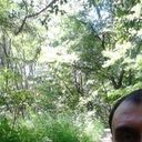 ���������� ������, ���� ������� �����, 49 ���, ������������ ��� ������