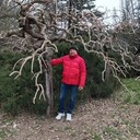 ���������� �����������, ���� ������� Namreg, 53 ����, ������������ ��� ���������