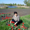 ���������� ������, ���� ������� �������, 51 ���, ������������ ��� ������, ����� � ���������, c�������� ���������