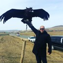  ,   Alper, 42 ,   ,   , c 