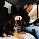 ���������� �����, ���� ������� ������, 28 ���, ������������ ��� ������, ����� � ���������