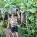 ���������� ������, ���� ������� ��������, 50 ���, ������������ ��� ������, ����� � ���������