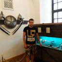 ���������� �����, ���� ������� �����, 37 ���, ������������ ��� ������, ����� � ���������, c�������� ���������