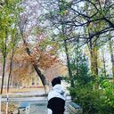 ���������� ������, ���� ������� �����, 26 ���, ������������ ��� ����� � ���������, c�������� ���������