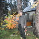  ,   , 64 ,   
