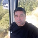 ���������� �����, ���� ������� ���������, 43 ����, ������������ ��� ������, ����� � ���������