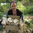 ���������� ���������, ���� ������� ��������, 48 ���, ������������ ��� ������, ����� � ���������, c�������� ���������